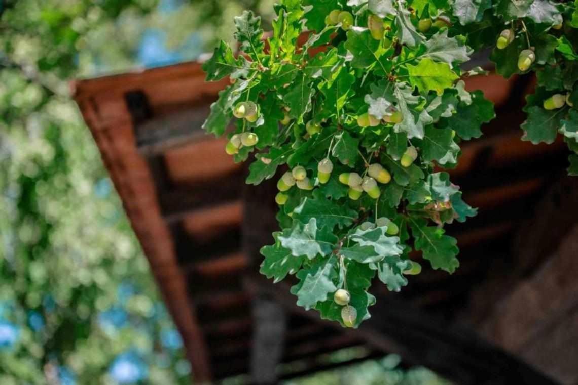 Гостевой дом Quinta Vale De Frades Torrao  Экстерьер фото